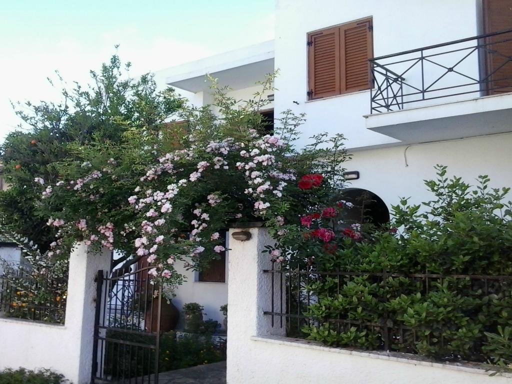 Karagiozos Studios & Apartments Skopelos Exteriér fotografie