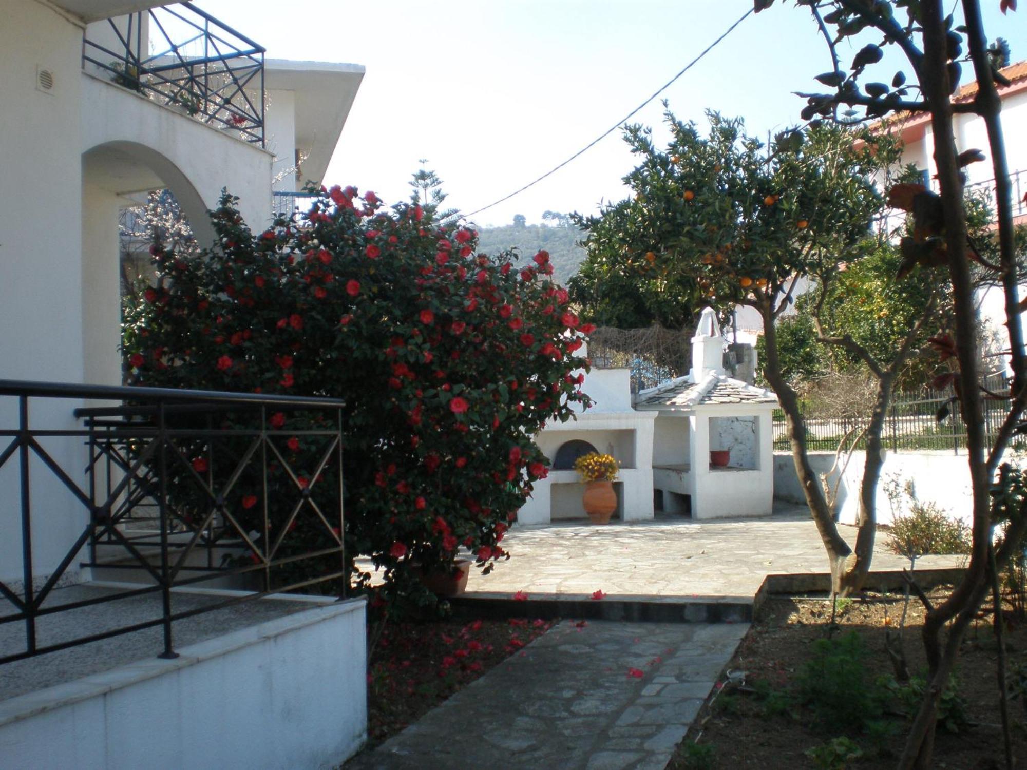 Karagiozos Studios & Apartments Skopelos Exteriér fotografie