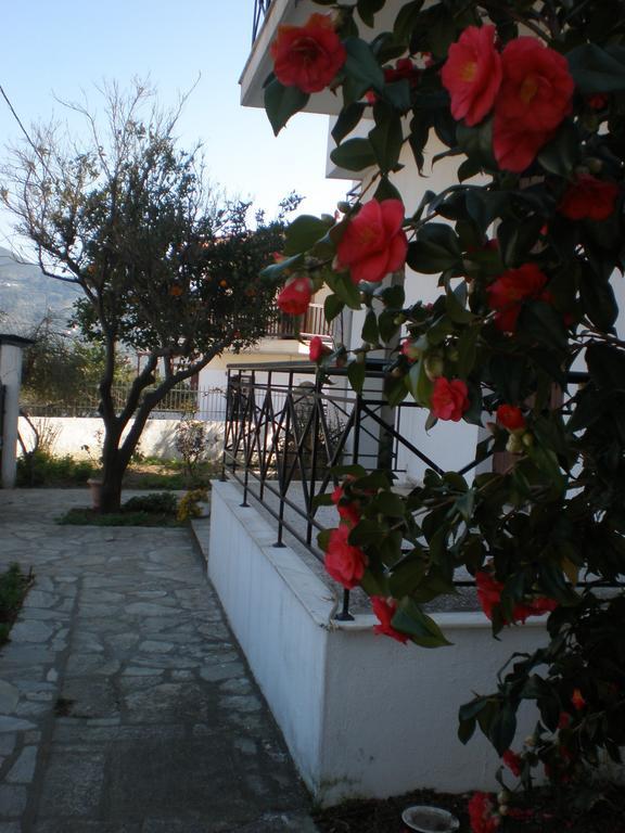 Karagiozos Studios & Apartments Skopelos Pokoj fotografie
